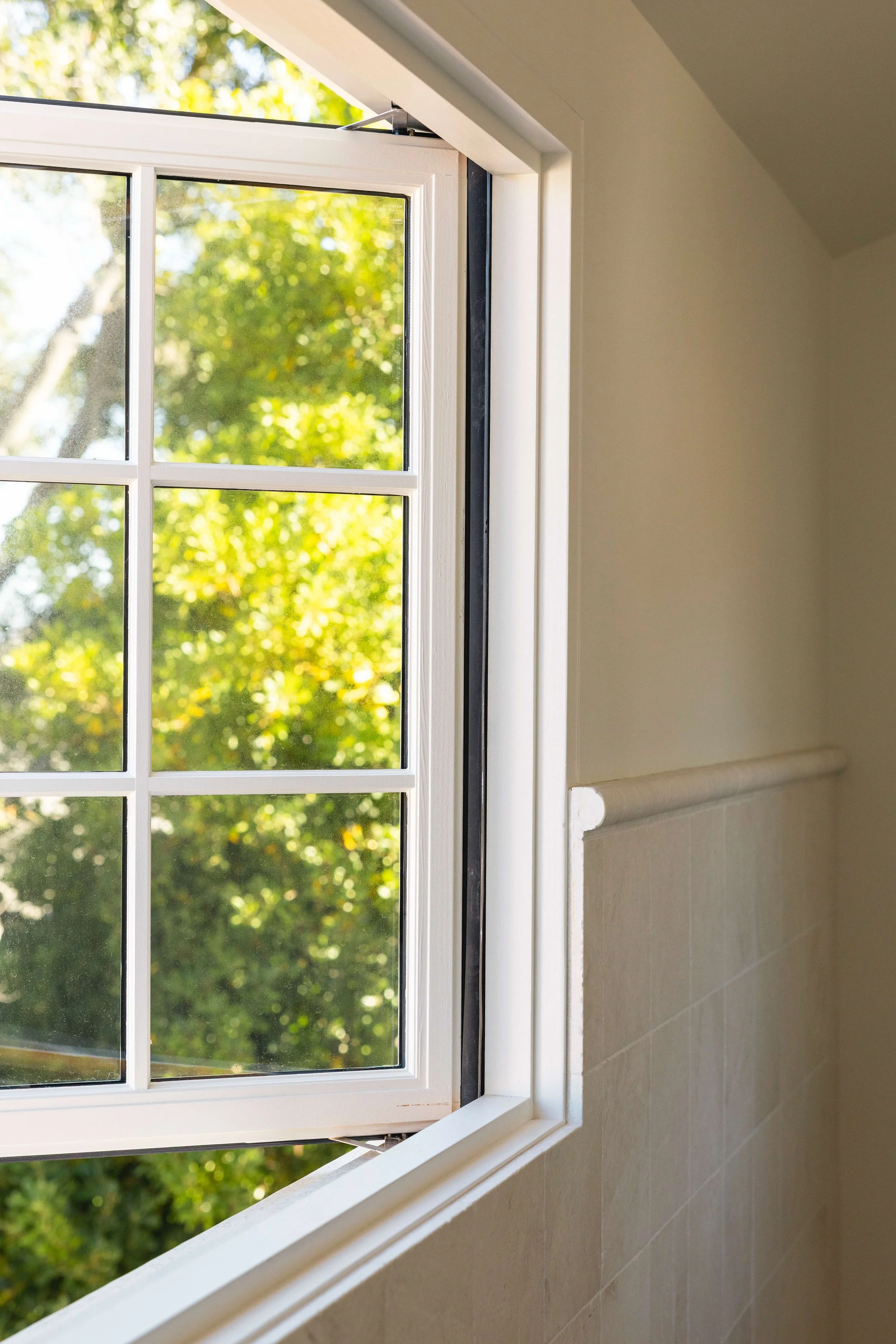 BVH_Retouched_Canary_1637Chelsea -7160.jpg