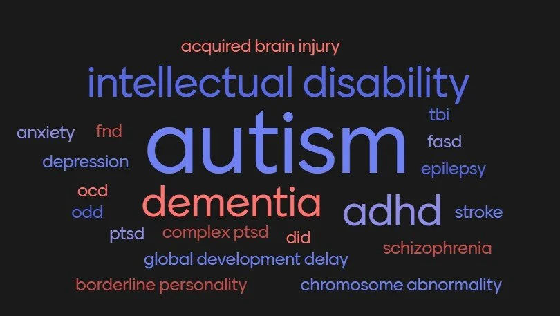 Word cloud with terms related to neurological and developmental disorders, including autism, depression, ADHD, dementia, and other medical conditions.