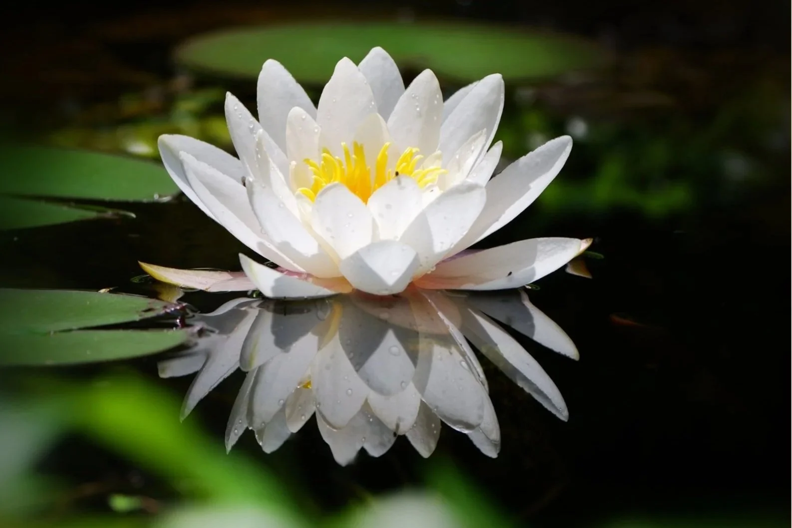 Spiritual Relaxation & Gentle Movement – Visual Resources