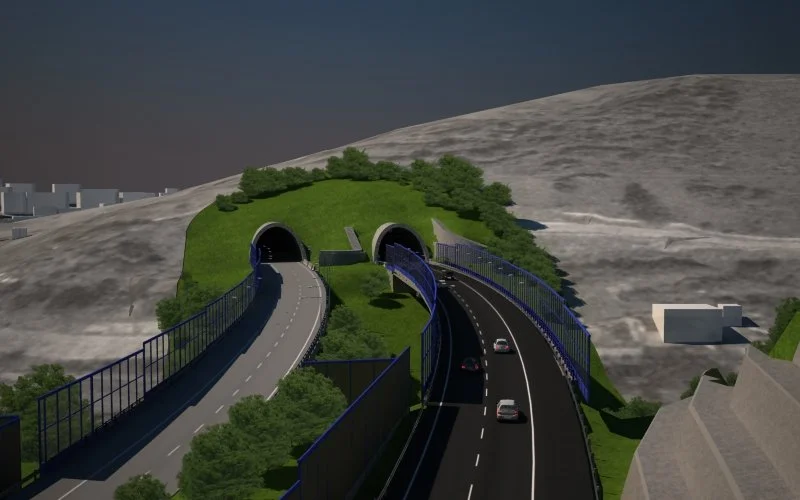 article two visualization.jpg