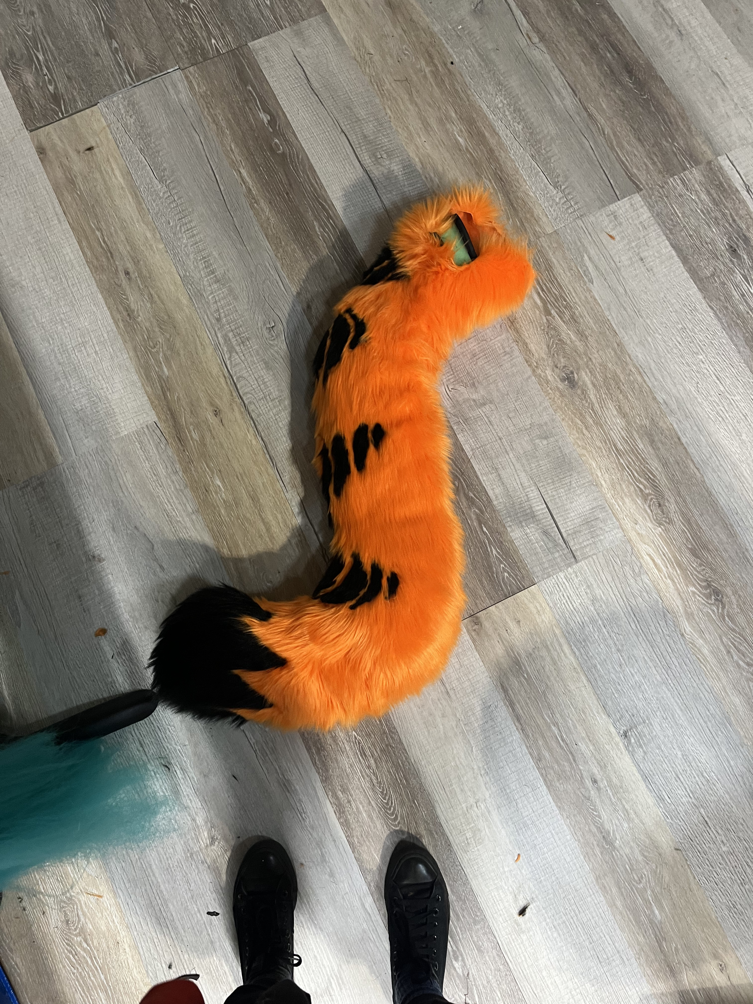 Finished tail.
