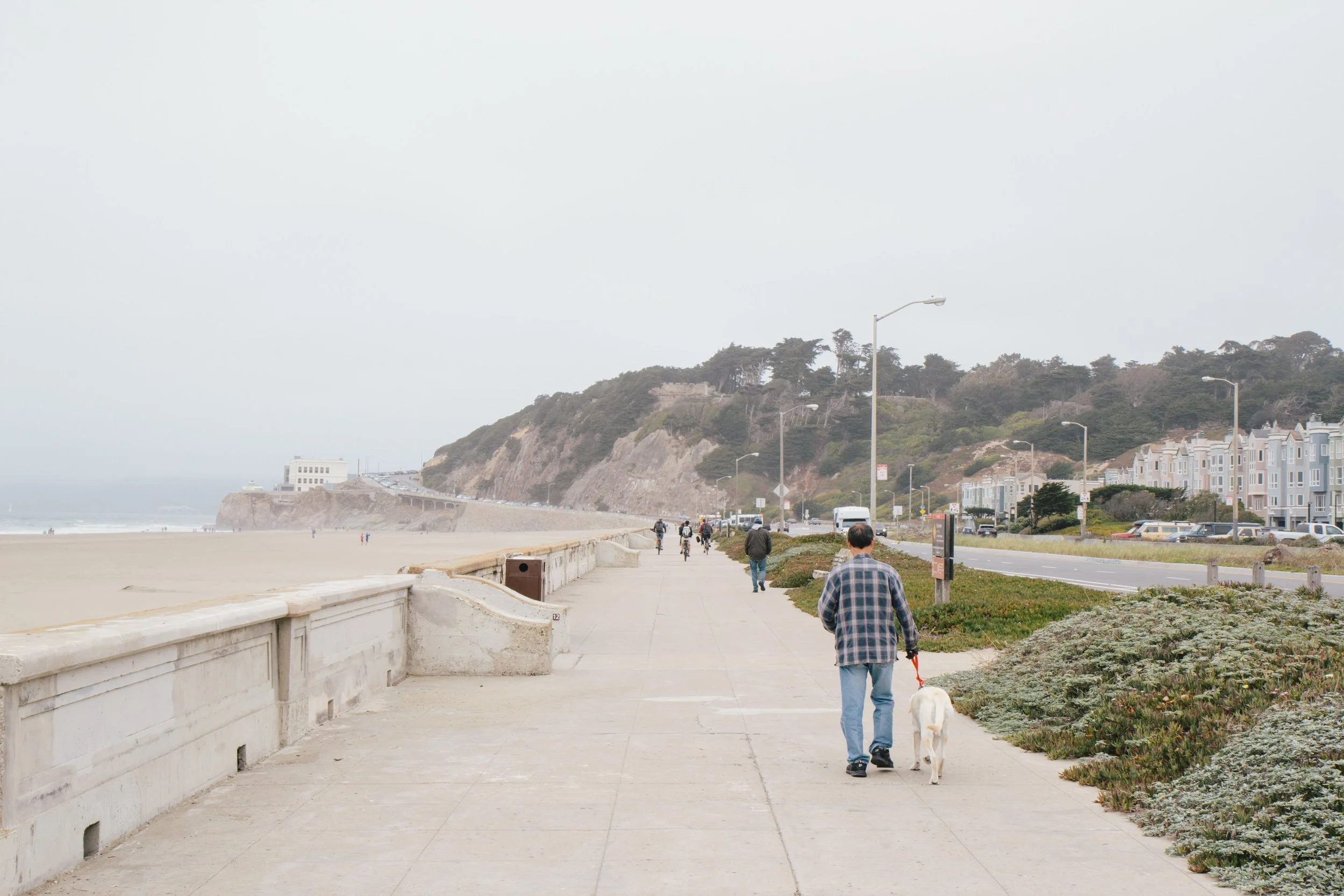 A man walking a dog along a sidewalk by the beach, with a hilly area and houses in the background, on an overcast day.