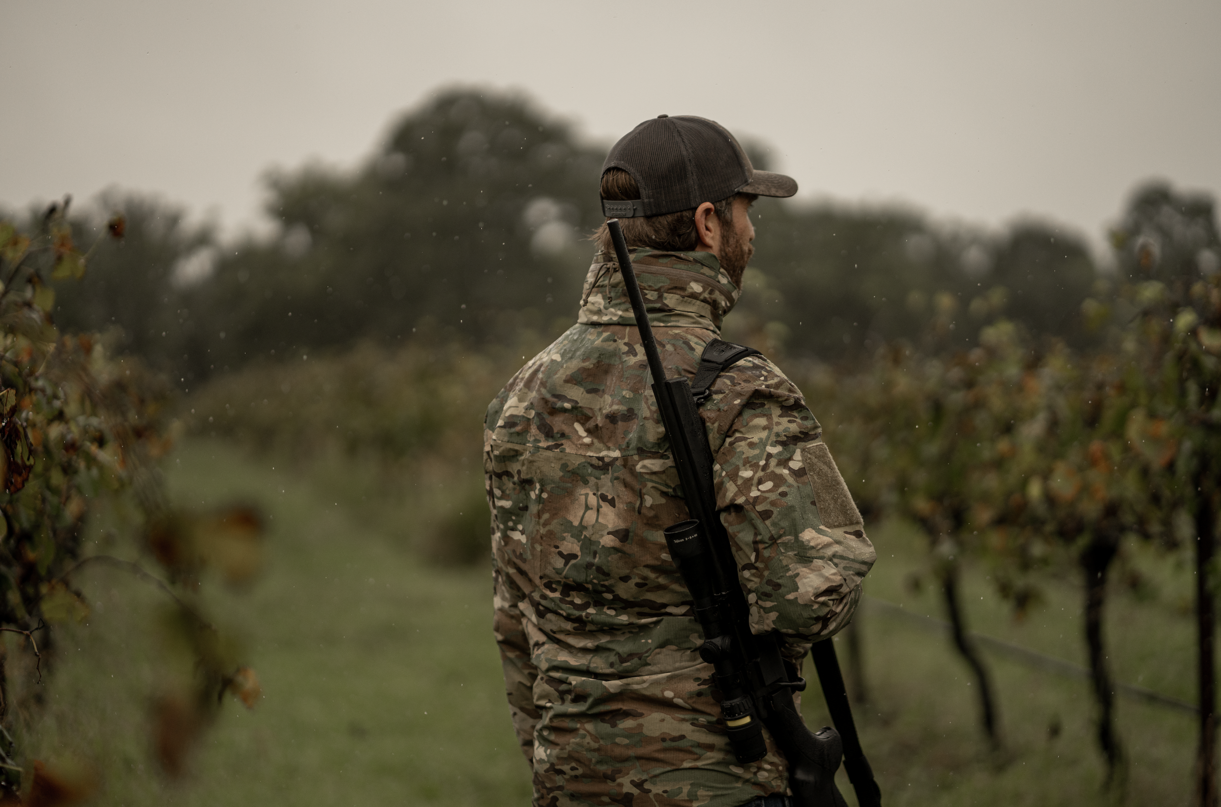 Screen Shot 2025-08-12 at 10.29.29 am.png