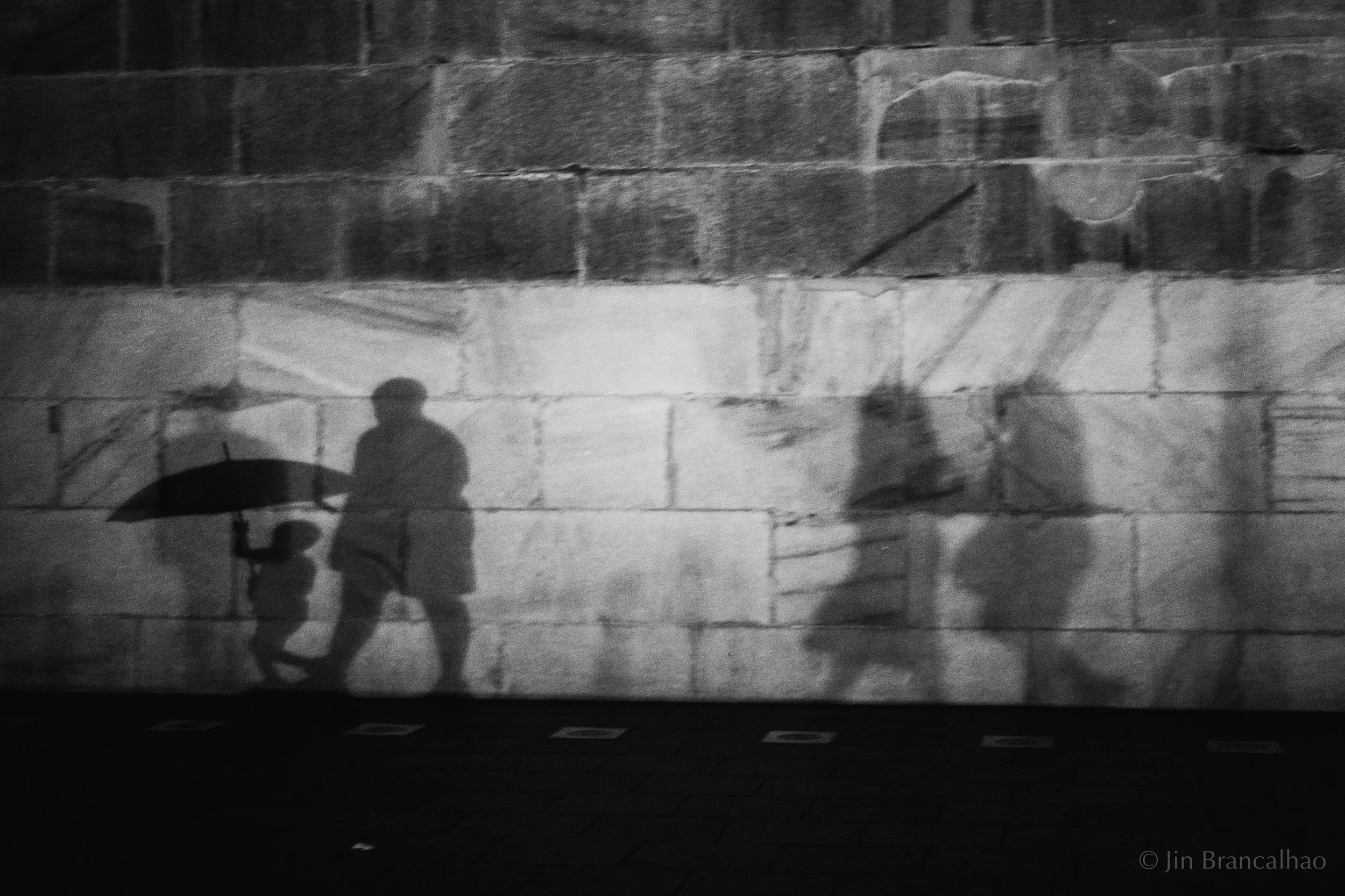L1008700.jpg