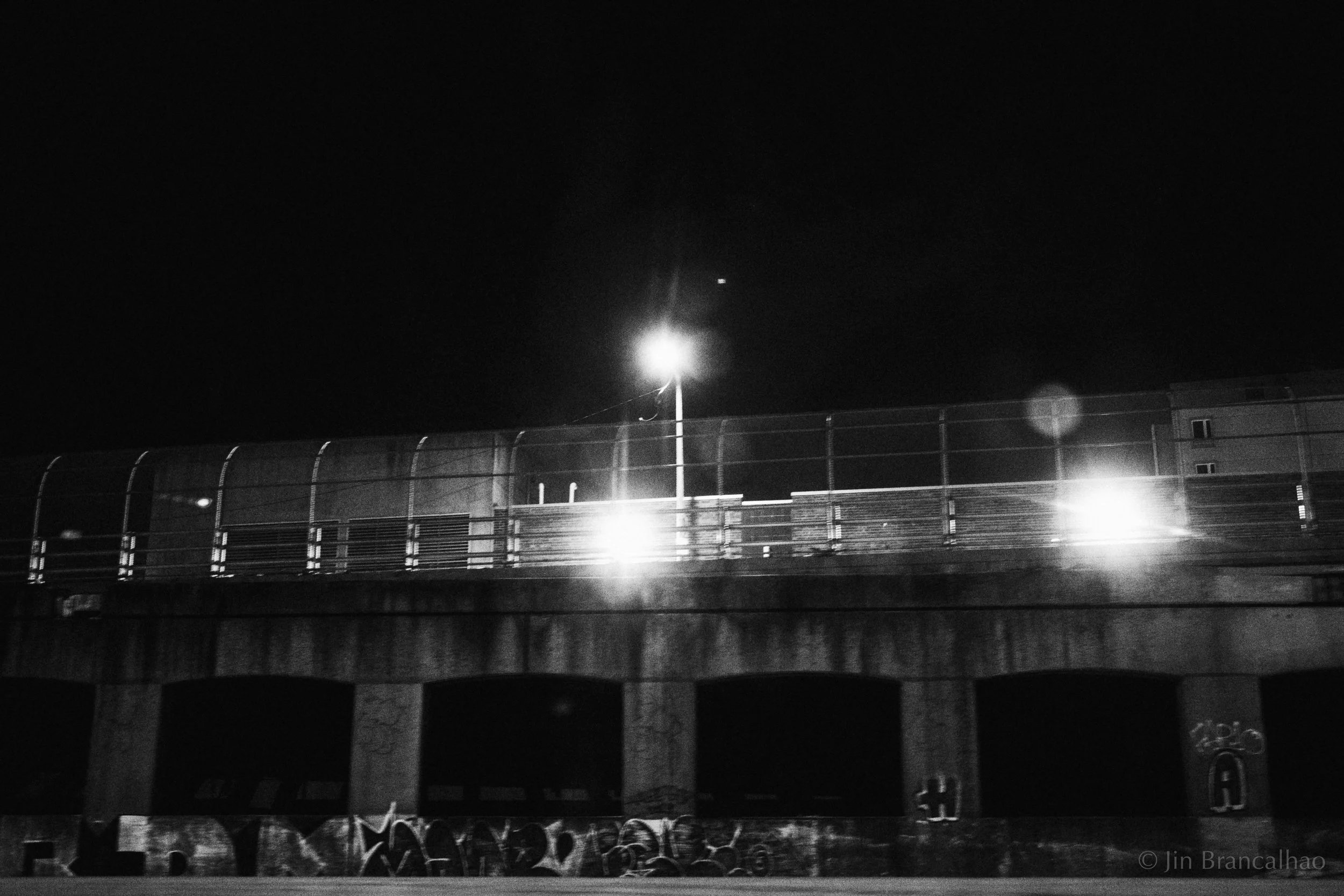 DSCF0237.jpg