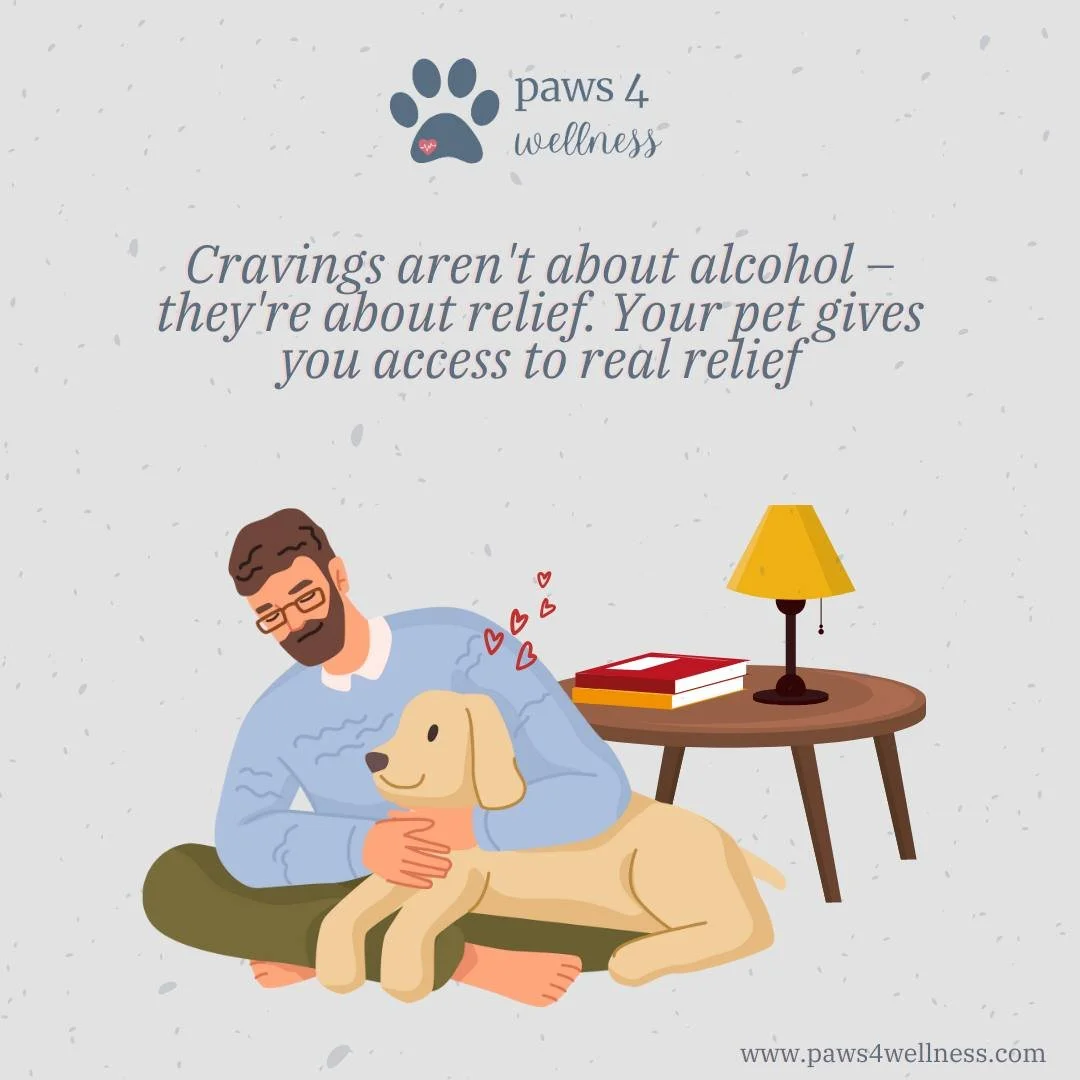 When a craving hits, it's your nervous system asking for support. 

Instead of reaching for a drink, find your pet.

Place your hand on their back, breathe with them, and let their presence ground you. 

Real relief comes from comfort, connection, an