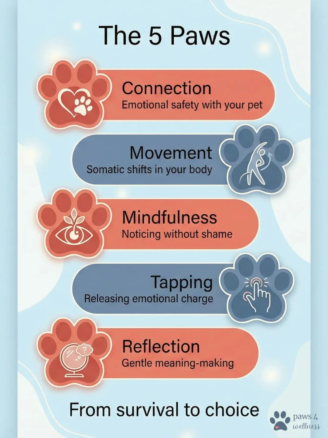 The 5 Paws framework guides people from survival mode to conscious choice.

It's the core methodology of Pet Medicine, working because each step builds nervous system capacity while keeping you regulated through co-regulation with your pet.

Here's h