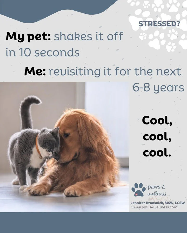 Stress isn&rsquo;t the problem.
Holding onto it is.

Animals discharge it immediately.
We&hellip; turn it into a personality trait.

Your body doesn&rsquo;t need more thinking.
It needs completion.

That&rsquo;s Pet Medicine.

👉 Try this: shake your