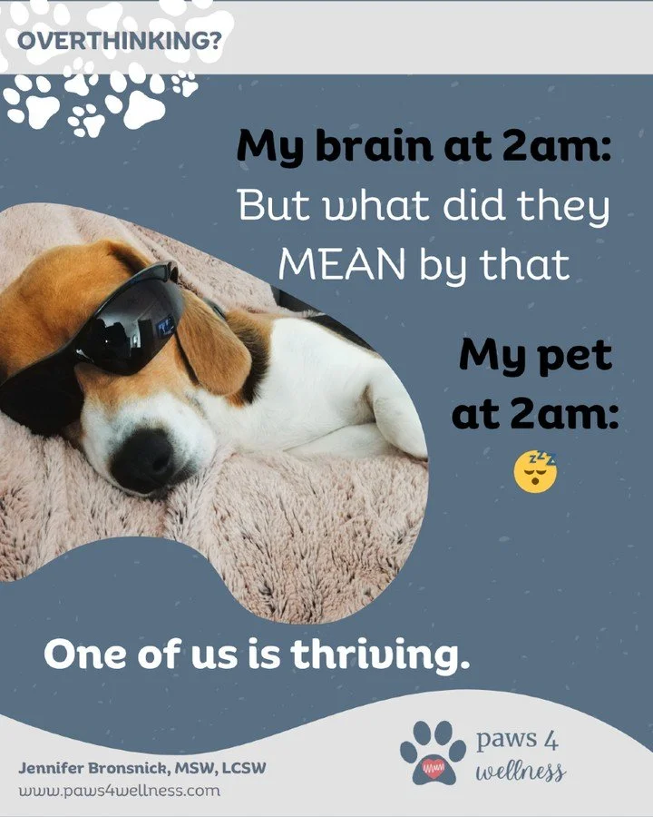 Overthinking is your nervous system scanning for danger. Your pet checks their environment&hellip; then returns to calm. That&rsquo;s regulation.

👉 Borrow that pattern for 2 minutes tonight. 🐾
#Paws4Wellness #PetMedicine #MentalWellness #PetTherap