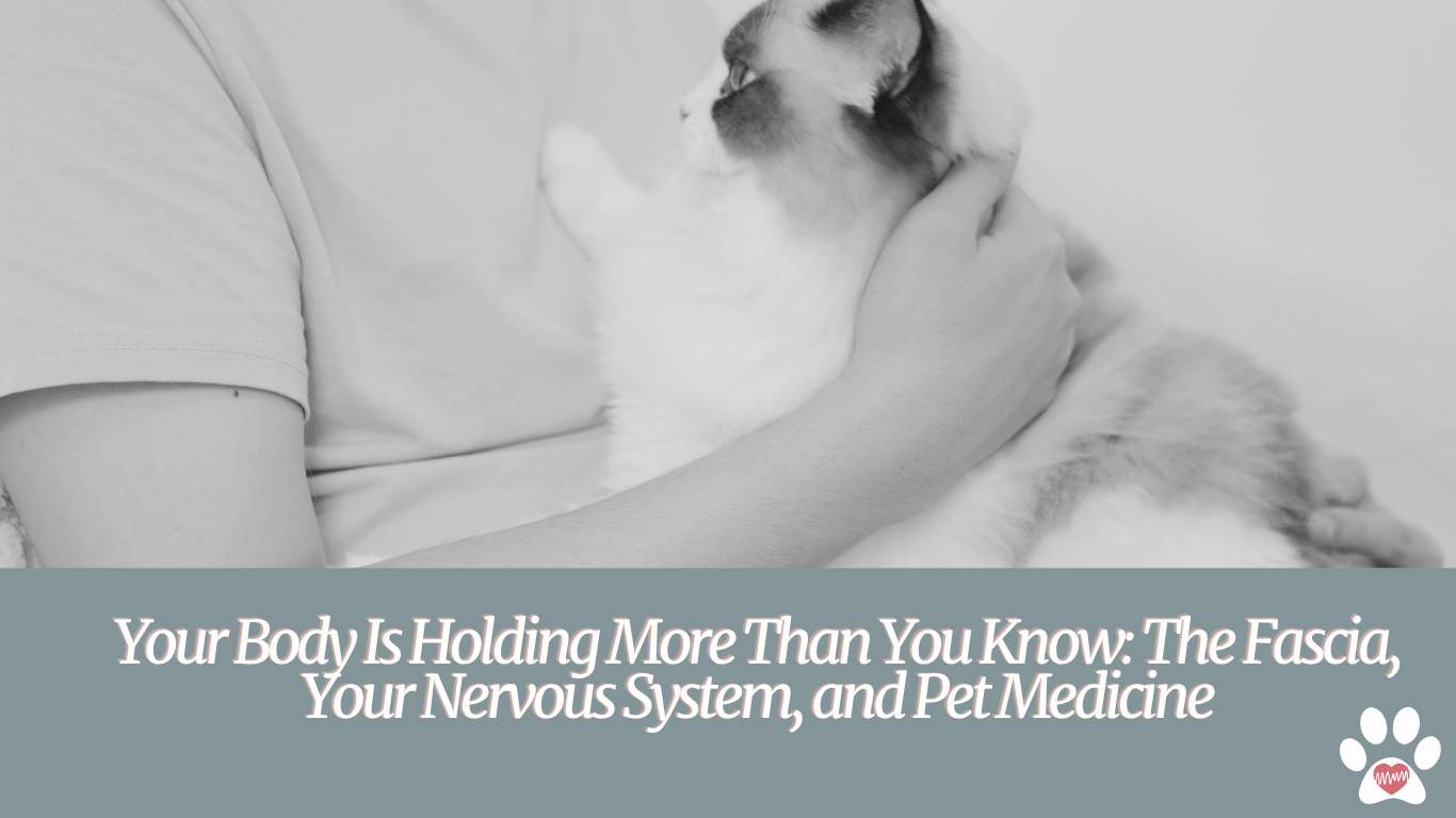 Your Body Is Holding More Than You Know: The Fascia, Your Nervous System, and Pet Medicine