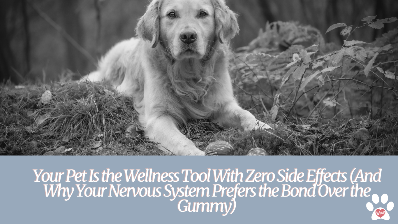 Your Pet Is the Wellness Tool With Zero Side Effects (And Why Your Nervous System Prefers the Bond Over the Gummy)