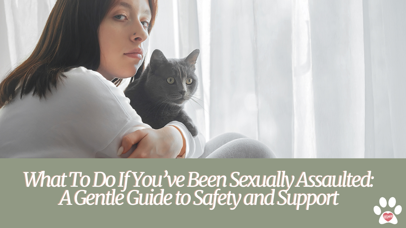 What To Do If You’ve Been Sexually Assaulted: A Gentle Guide to Safety and Support