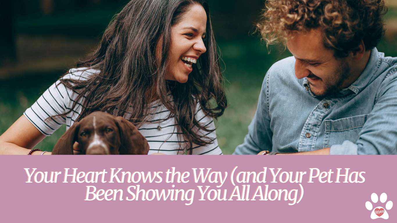 Your Heart Knows the Way (and Your Pet Has Been Showing You All Along)