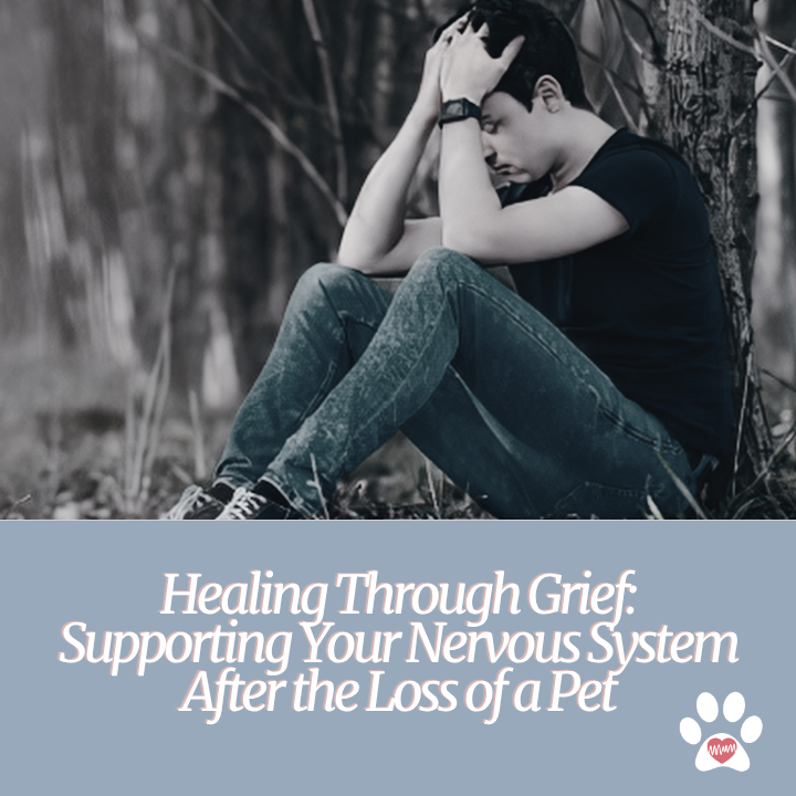 Healing Through Grief: Supporting Your Nervous System After the Loss of a Pet