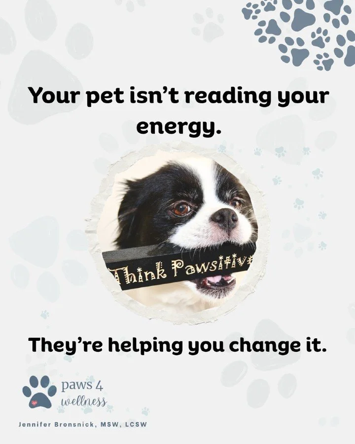 When your pet comes close, settles next to you, or nudges you&mdash; your body responds.

Breathing slows.
Muscles soften.
You come back.

Not because you figured something out.
Because something in you felt safe enough to shift.

That&rsquo;s Pet Me