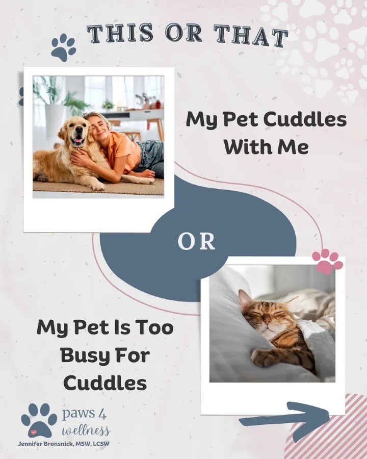 A little fun for your day. Tell me which one is you. 🐾 

Answer in the comments &mdash; I am reading every one!

 🐾 And if you want to tag your pet's account, please do. The more animals in my feed the better.

#paws4wellness #petmedicine #mentalwe