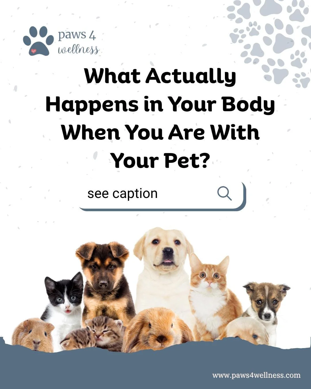 Here is something worth knowing as we prepare for Mental Health Month in May. 🐾

When you look into your pet's eyes, or feel their warmth against your body, your brain releases a feel-good chemical called oxytocin. It is the same one you feel when y