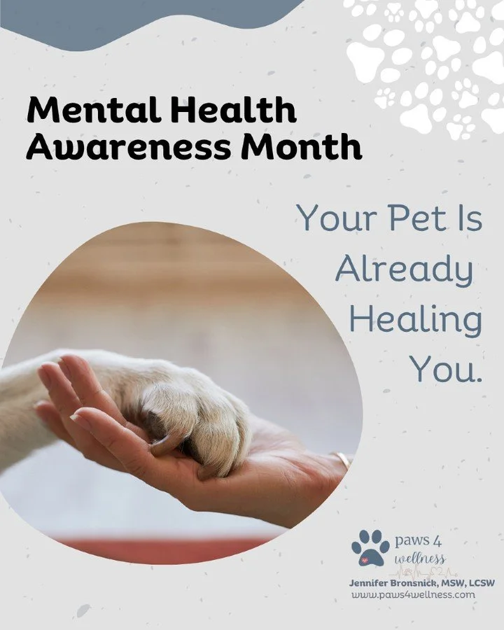 May is Mental Health Awareness Month. And I want to start with something that might surprise you. 🐾

You already have one of the most powerful mental health tools that exists. It is not an app. It is not a medication. It is not even a therapist.

It