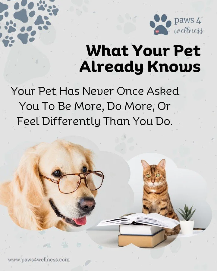 Your pet has never once asked you to be more, do more, or feel differently than you do. 🐾

"Your pet does not see your worst days as proof that you are failing. They see them as an invitation to stay closer."

- Jennifer Bronsnick, MSW, LC
