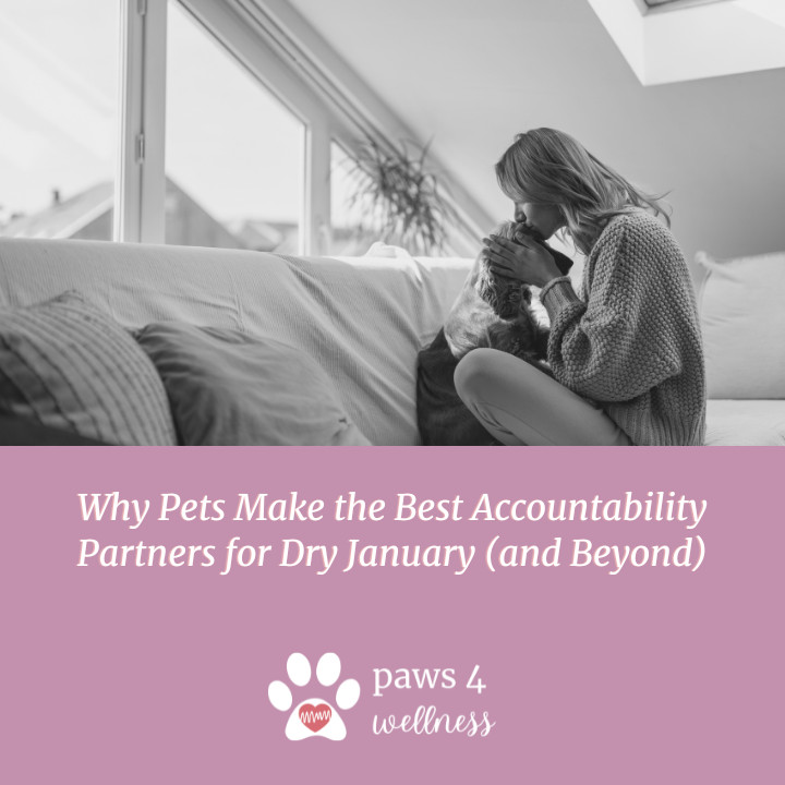 Why Pets Make the Best Accountability Partners for Dry January (and Beyond)