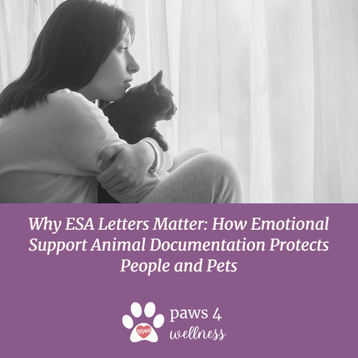 Why ESA Letters Matter: How Emotional Support Animal Documentation Protects People and Pets
