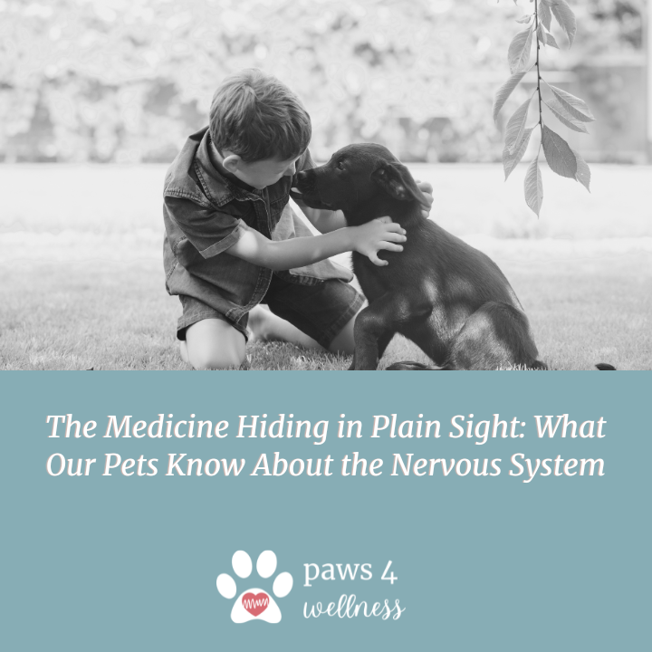 The Medicine Hiding in Plain Sight: What Our Pets Know About the Nervous System