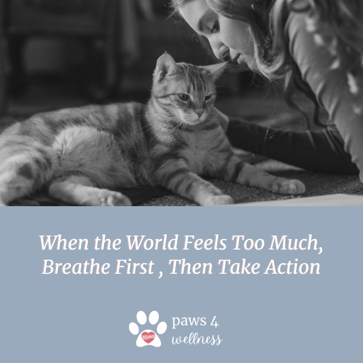 When the World Feels Too Much, Breathe First ,  Then Take Action