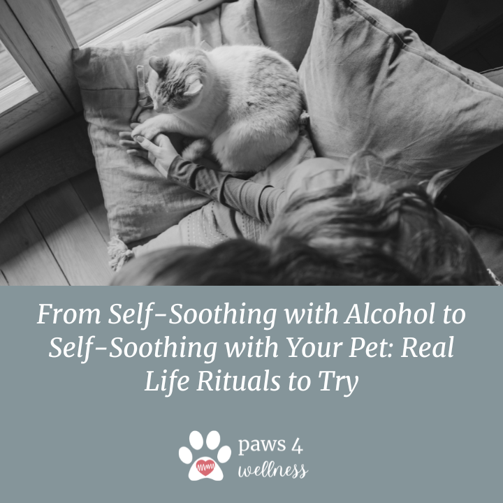 From Self-Soothing with Alcohol to Self-Soothing with Your Pet: Real Life Rituals to Try