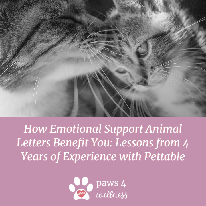 How Emotional Support Animal Letters Benefit You: Lessons from 4 Years of Experience with Pettable