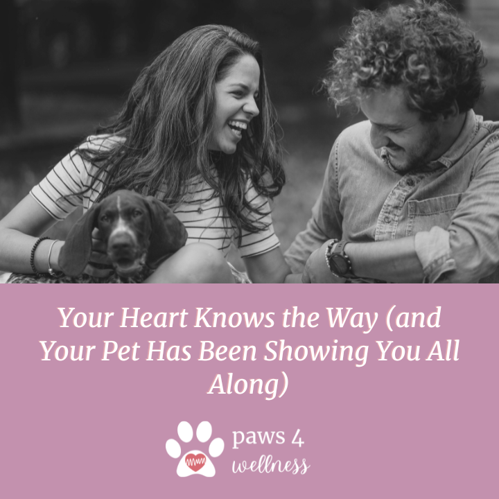 Your Heart Knows the Way (and Your Pet Has Been Showing You All Along)