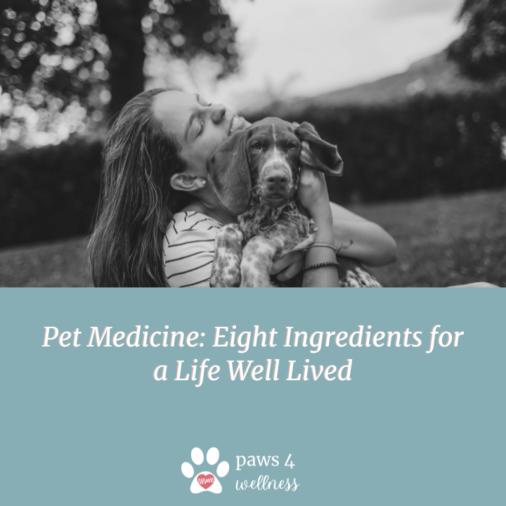 Pet Medicine: Eight Ingredients for a Life Well Lived