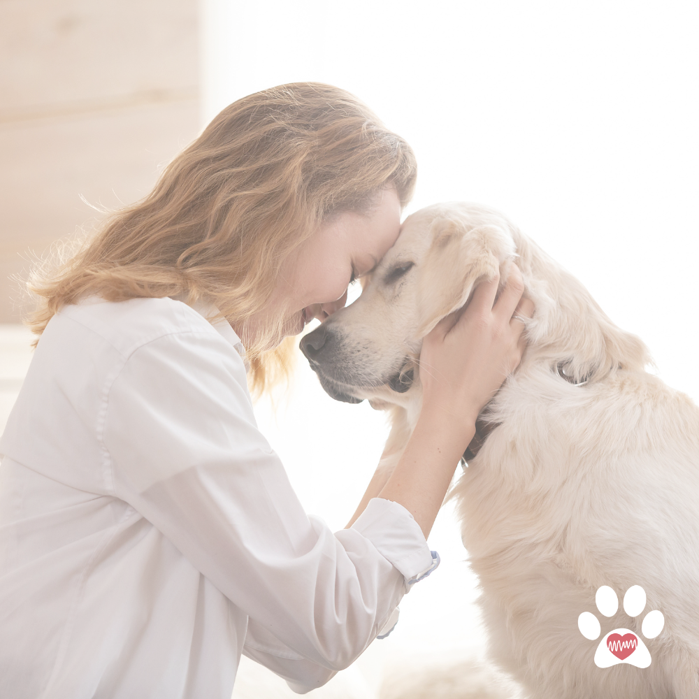 Illustration of a woman hugging a cat