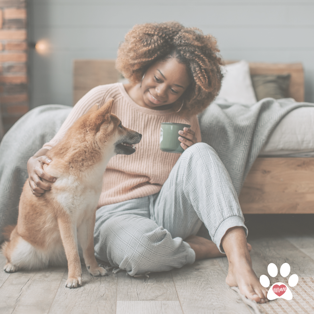 A woman kneeling and smiling at a husky dog, pets the dog’s face, in front of a logo that says 'paws 4 wellness' with a paw print and heartbeat line, on a light gray background.
