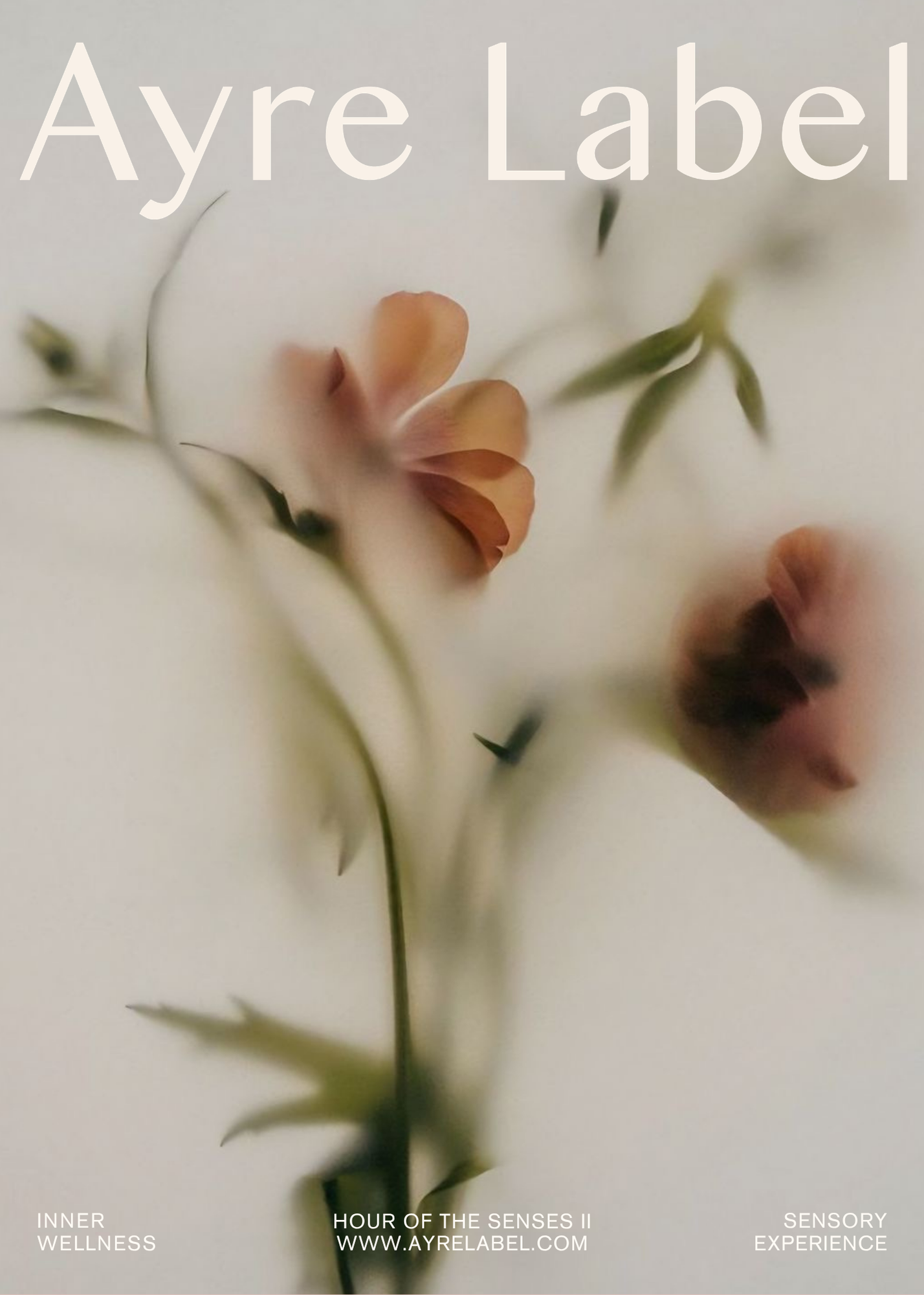 Hour of the Senses II: Sat, Oct 3 Newport Beach