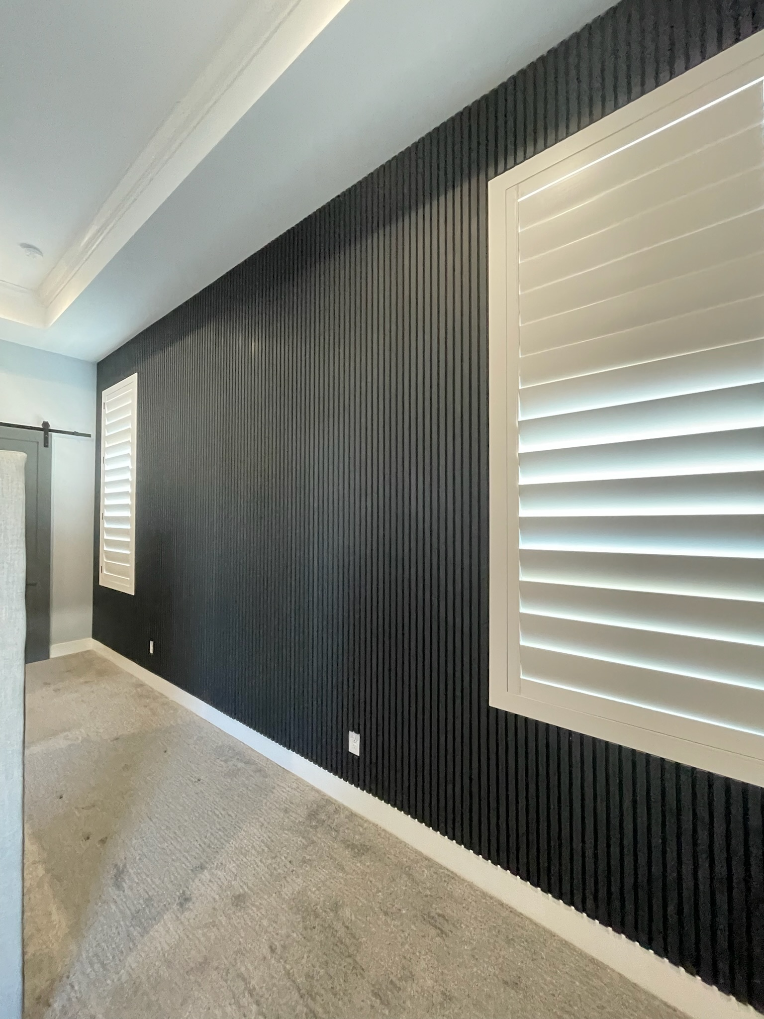 black acoustic panels on windows.png