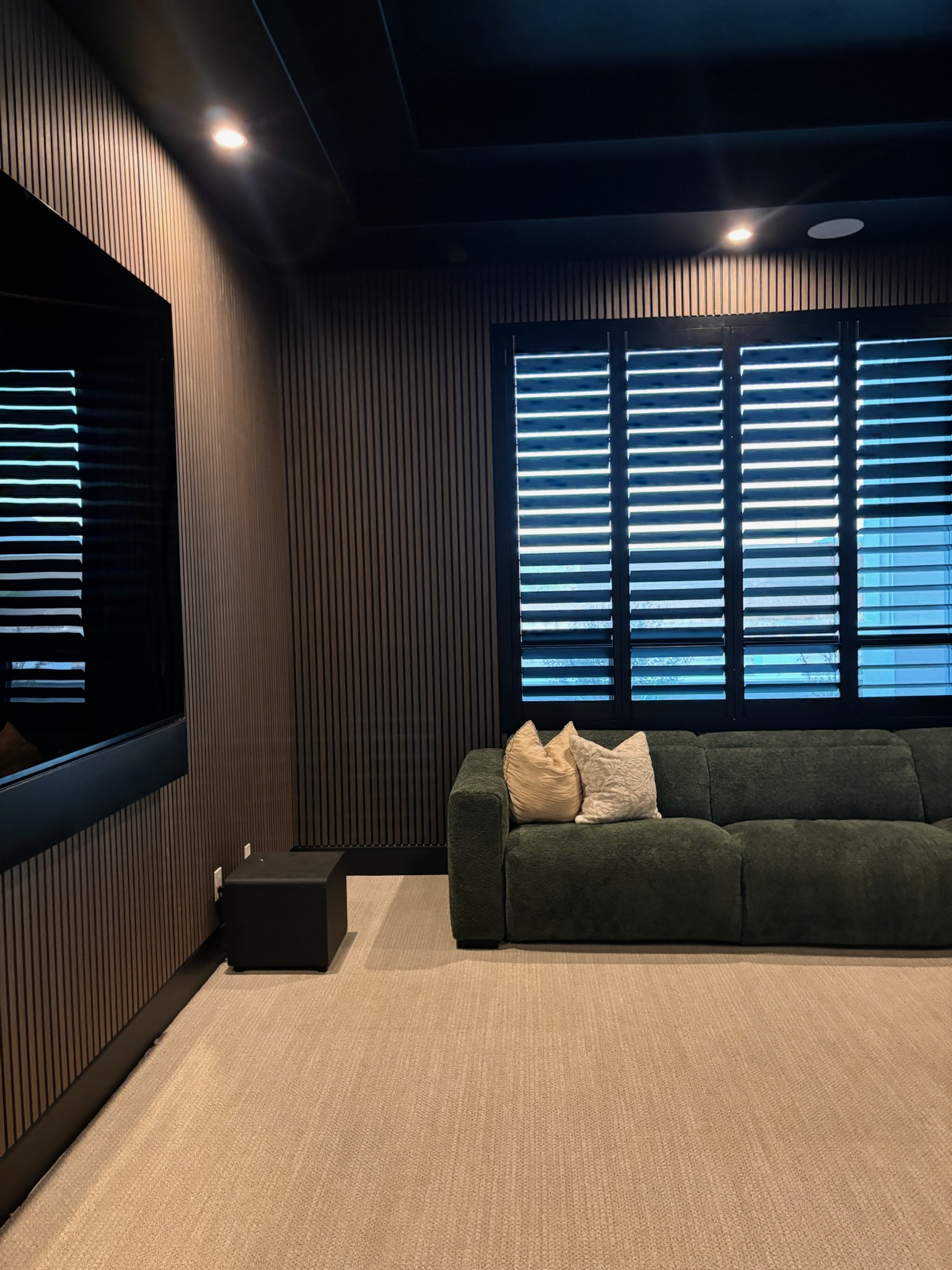 dark oak theatre room.png
