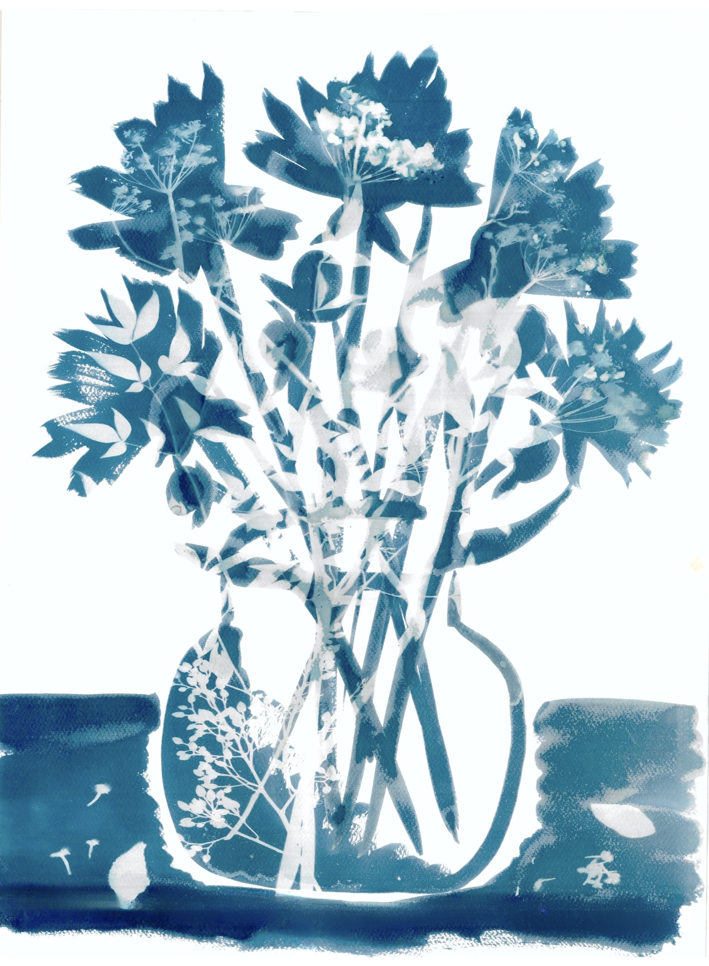 Zinnia_Fine Art Print_by Sarah Allen.png