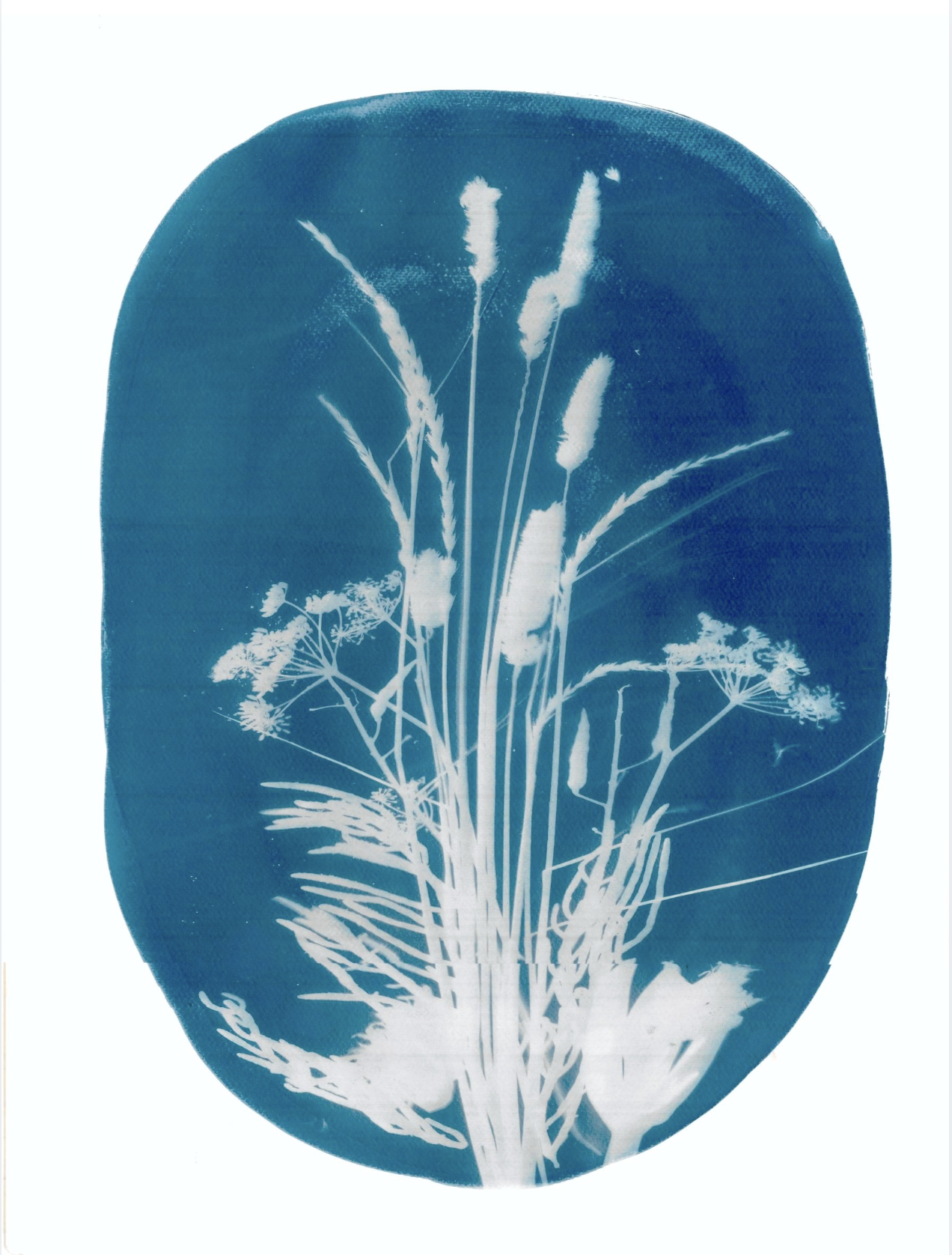 BeachGrass_FineArtPrint_SarahAllenDesign.png