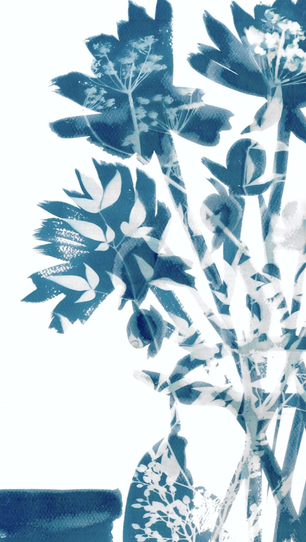 Zinnia Close Up_Fine Art Print_by Sarah Allen.png