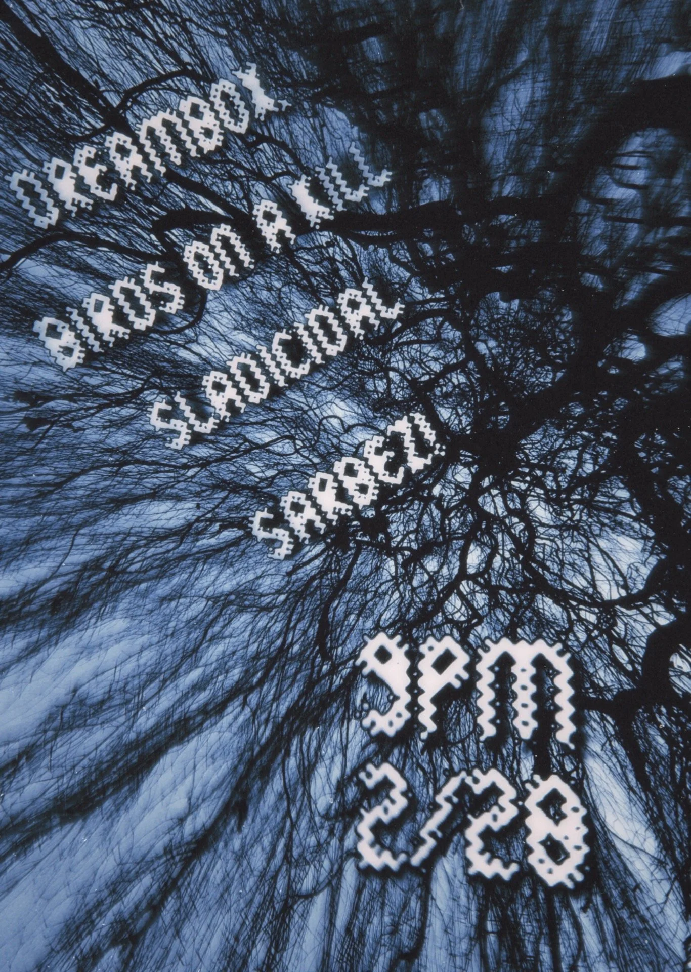 Birds on a Kill, Dreambox, Sladical