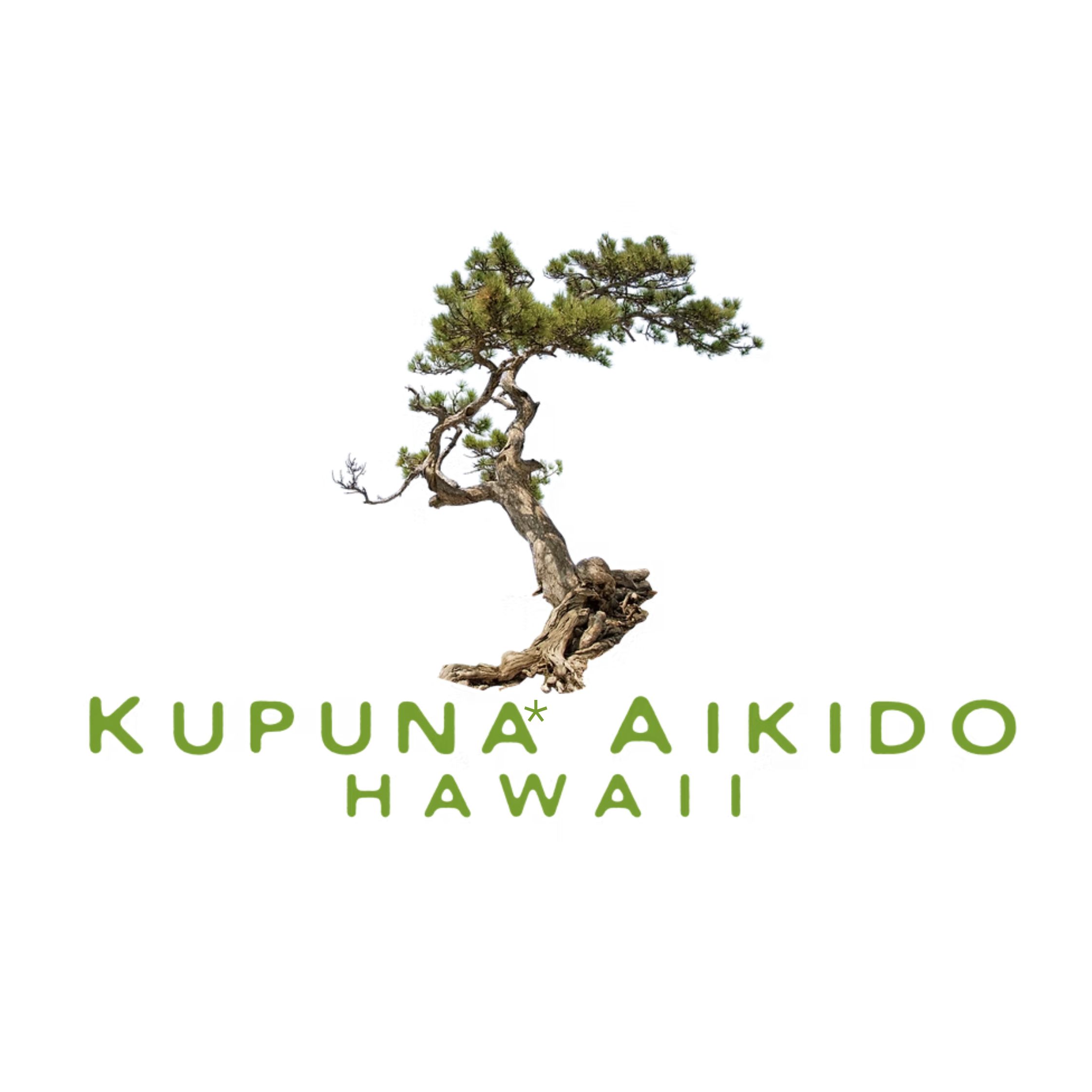 Kupuna Aikido