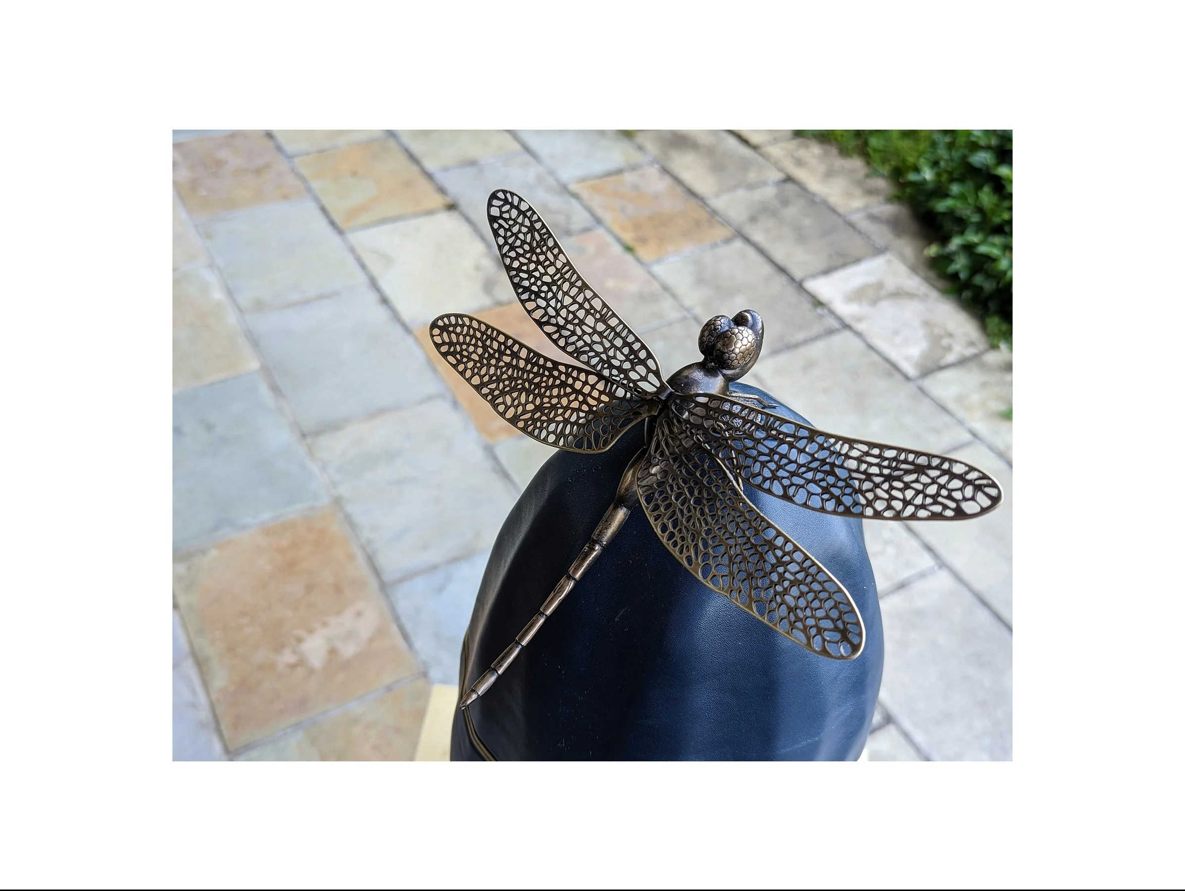 dragonfly-champagne-cooler-blue-leather-750ml  (10) Phone.jpg