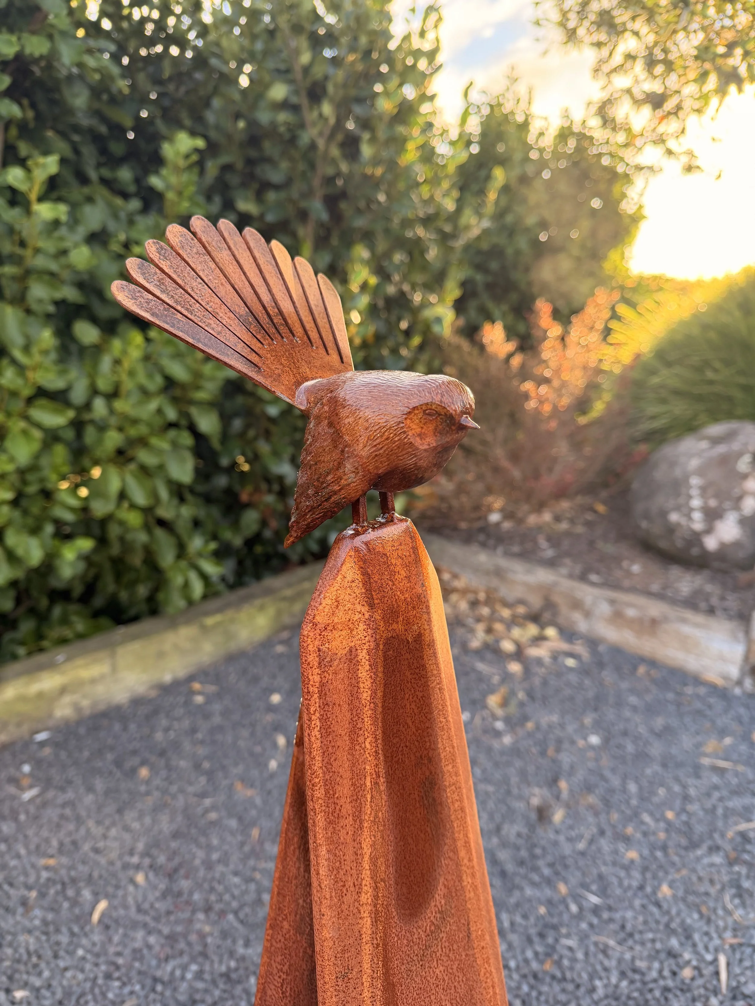 Fantail (Pīwakawaka)