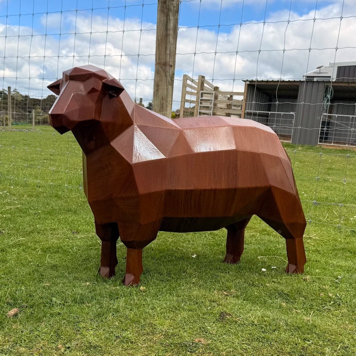 Sheep