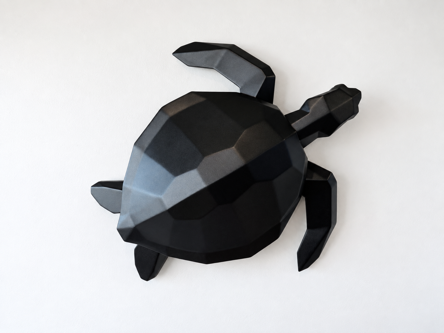 Sea Turtle