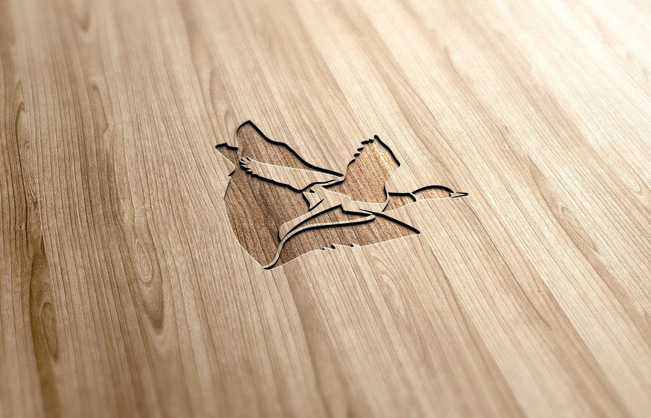 Wooden texture with carved silhouette of a person wearing a cape and hat, resembling a superhero design.