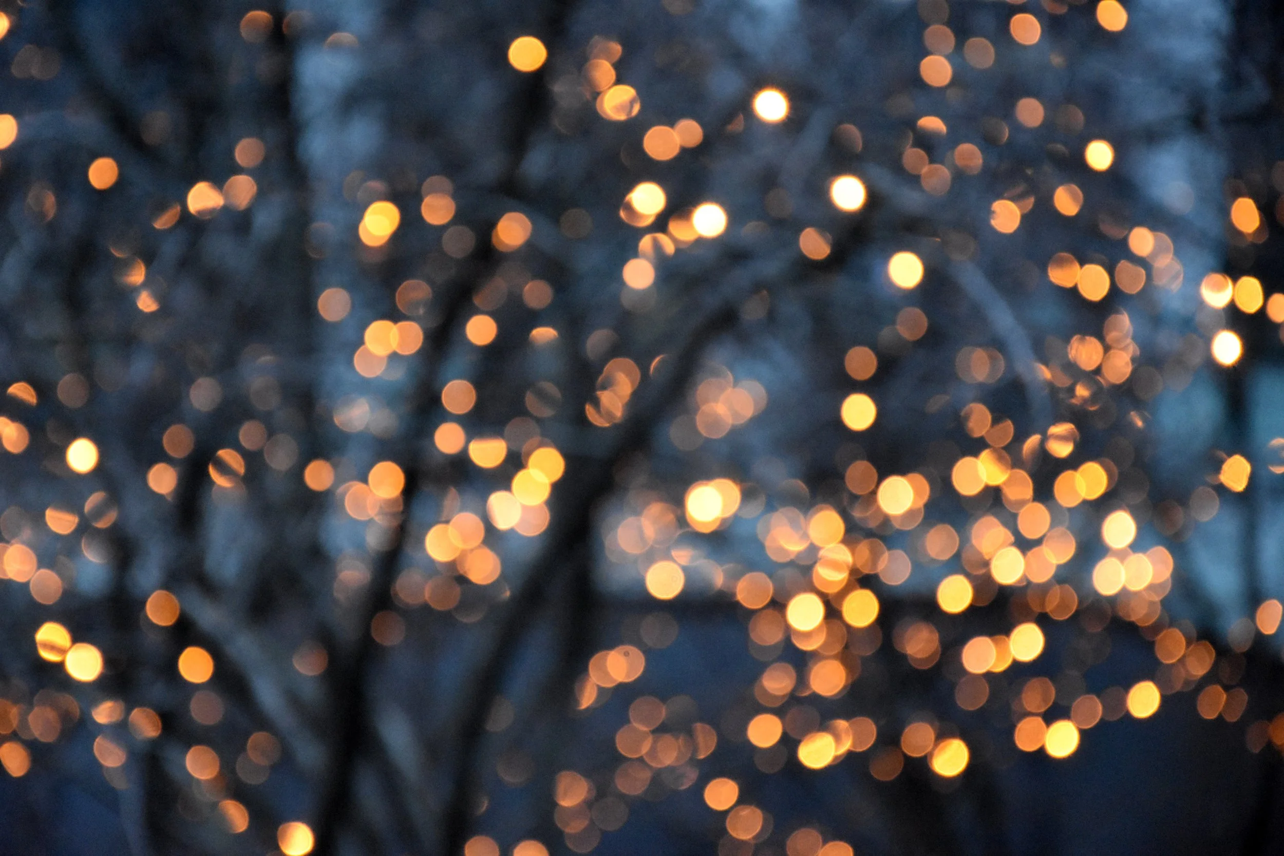 Holiday & Seasonal Photography Session Ideas