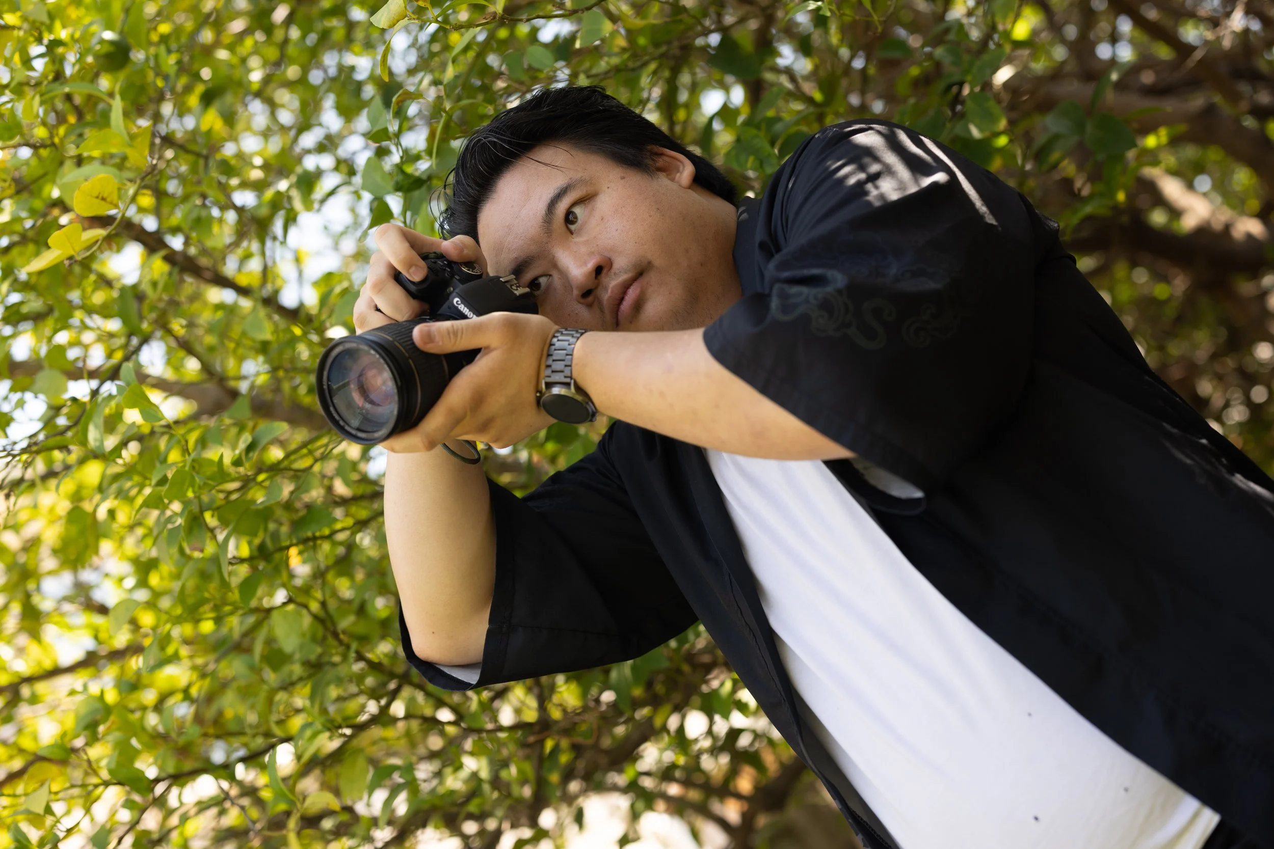 Why Hire a Professional Photographer in California