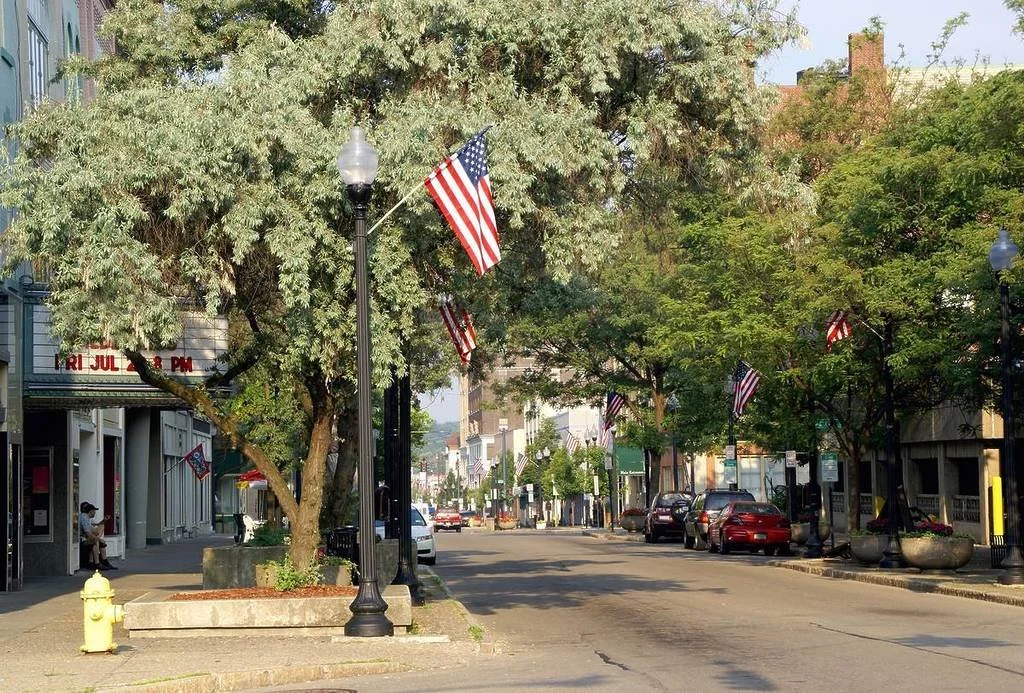 Street view with American flags hanging from trees and lampposts, parked cars, trees and buildings lining the street.