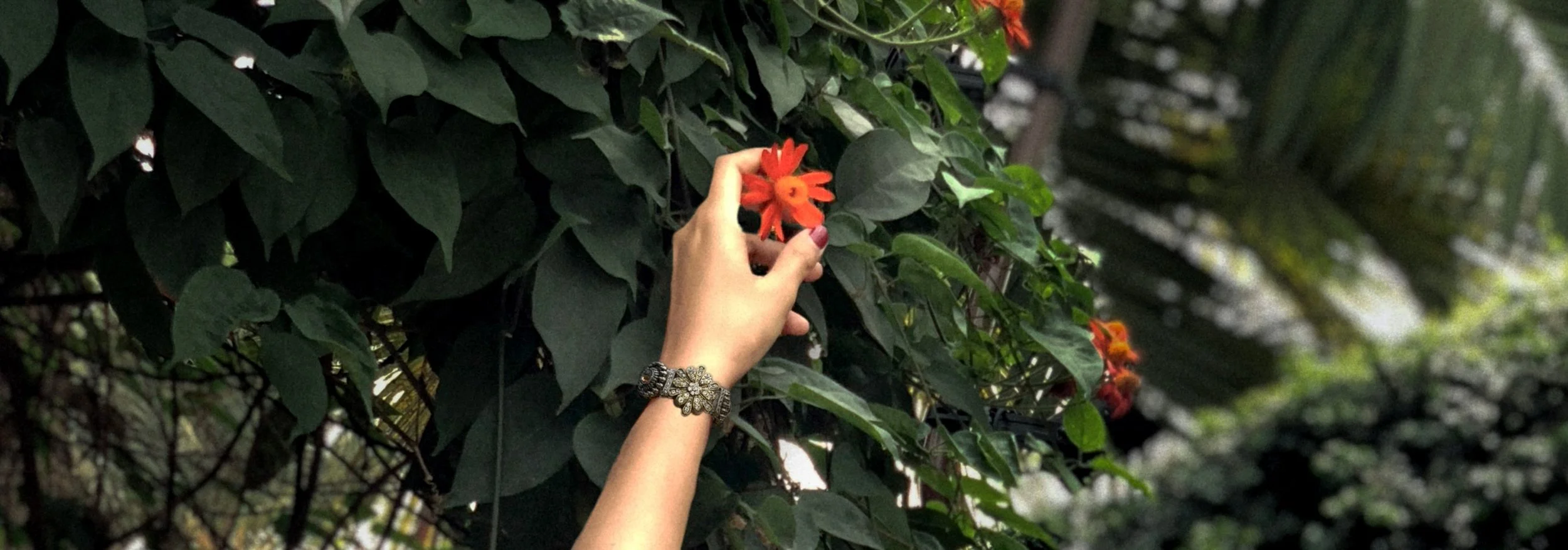 Custom Jewelry Requests